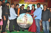 Bruce Lee Movie Audio Release Photos